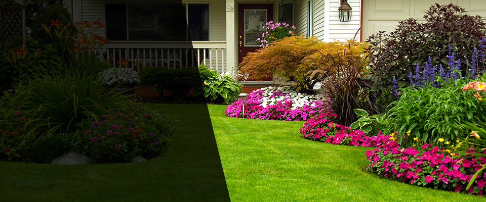 Bath Landscapers