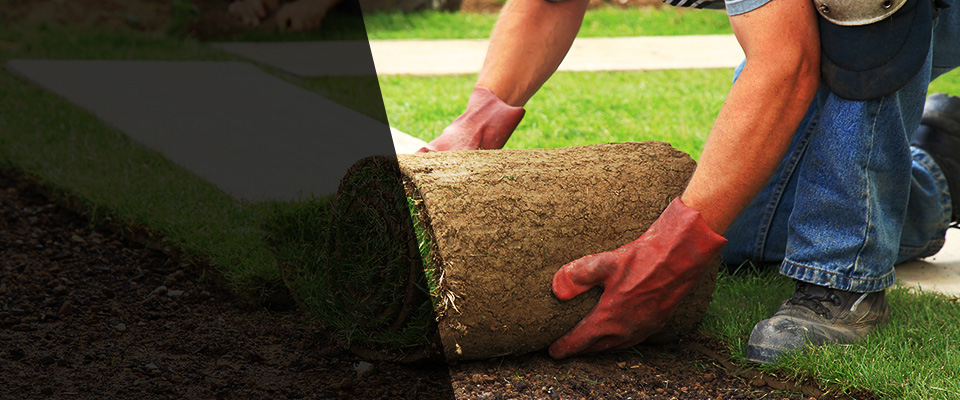 Bath Landscapers